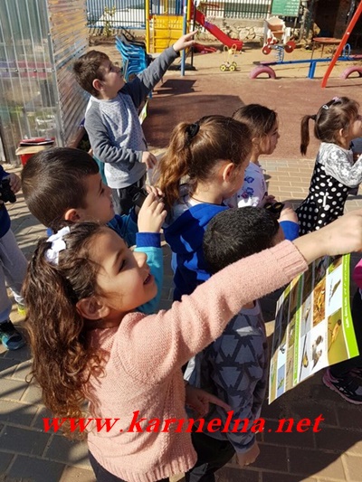 جمعيَّة حماية الطَّبيعة تختتم حملة إحصاء العصافير الكبير وتُكرّم المُؤسّسات التّربويّة بشهادات تقدير على المُشاركة والمُساهمة بإنجاح المشروع