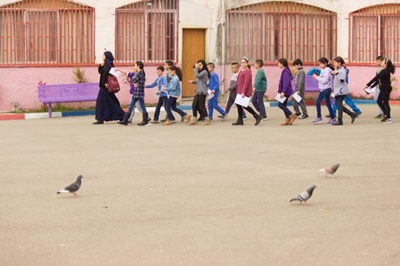 جمعيَّة حماية الطَّبيعة تختتم حملة إحصاء العصافير الكبير وتُكرّم المُؤسّسات التّربويّة بشهادات تقدير على المُشاركة والمُساهمة بإنجاح المشروع