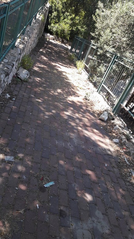 دالية الكرمل : الزبالة والاعشاب تملأ الحديقة العامة في דליה צעירה 