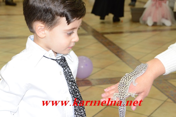 بالفيديو : حضانة عصافير الجنة تحتفل مع الأطفال والأهالي