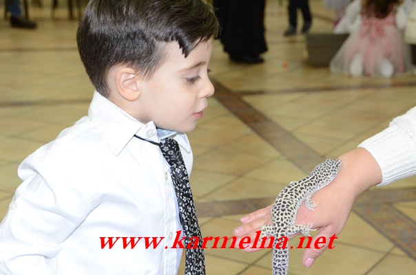بالفيديو : حضانة عصافير الجنة تحتفل مع الأطفال والأهالي