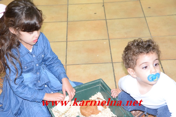 بالفيديو : حضانة عصافير الجنة تحتفل مع الأطفال والأهالي