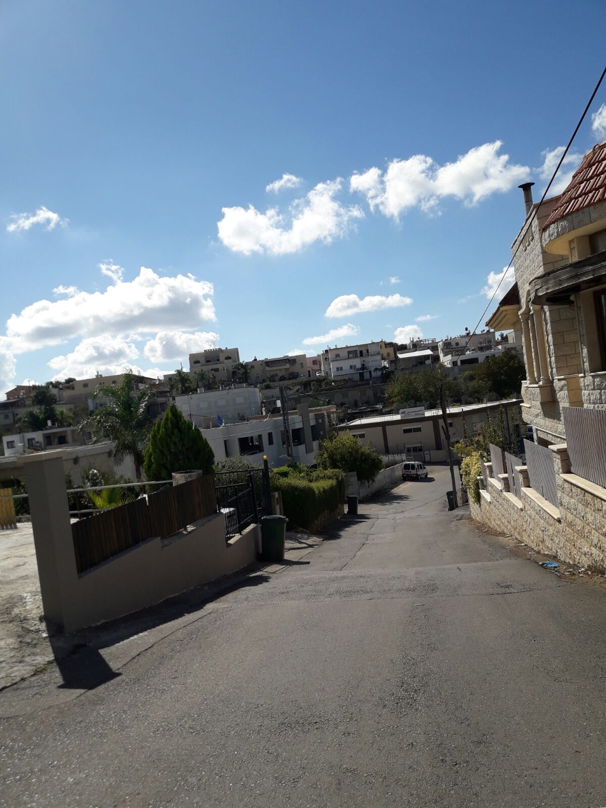 دالية الكرمل : الراوئح الكريهة تشل حياة السكان !