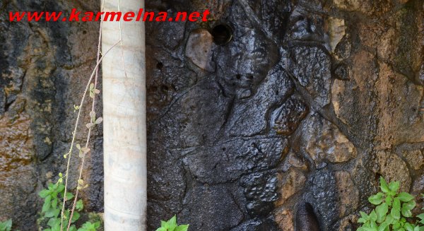הורי התלמידים :הצילו את ילדינו 