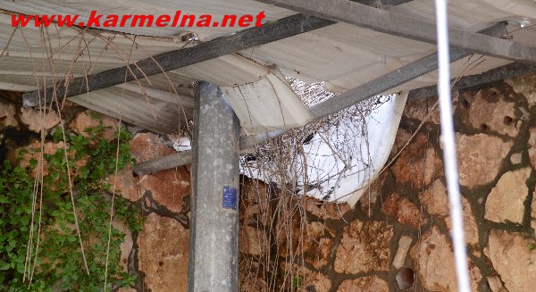 הורי התלמידים :הצילו את ילדינו 