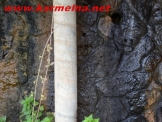 הורי התלמידים :הצילו את ילדינו 
