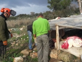 شفاعمرو : هدم معسكر الفلسطينيين بالحرش