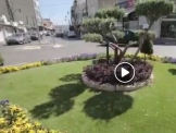 כפר ביקרתם? הזמנה לפסטיבל בימי שישי-שבת חול המועד סוכות בדאלית אל כרמל