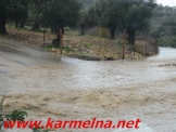 גשמי ברכה בכרמל :סרטון ותמונות